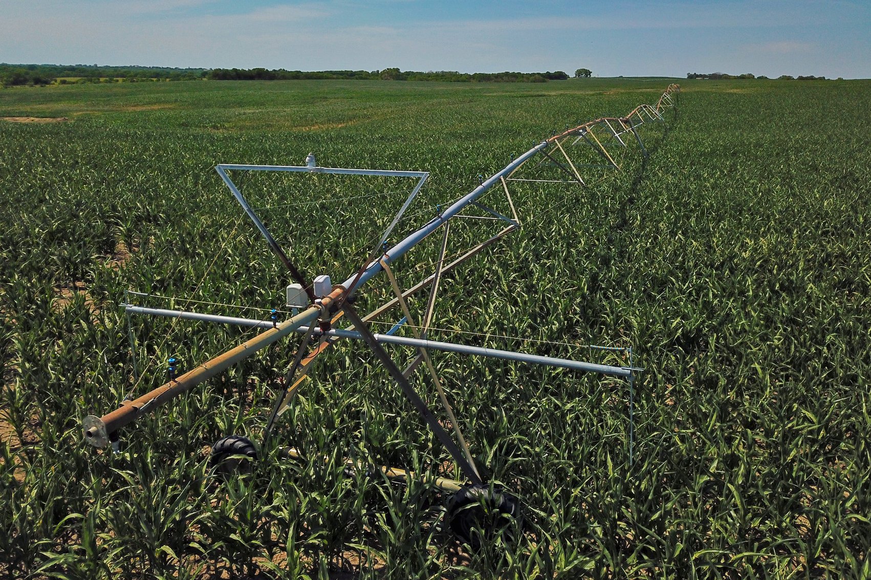 Image for 193.21Acres Pawnee County Farmland Auction by The Schaardt Auction Team with Burrows Tracts Real Estate