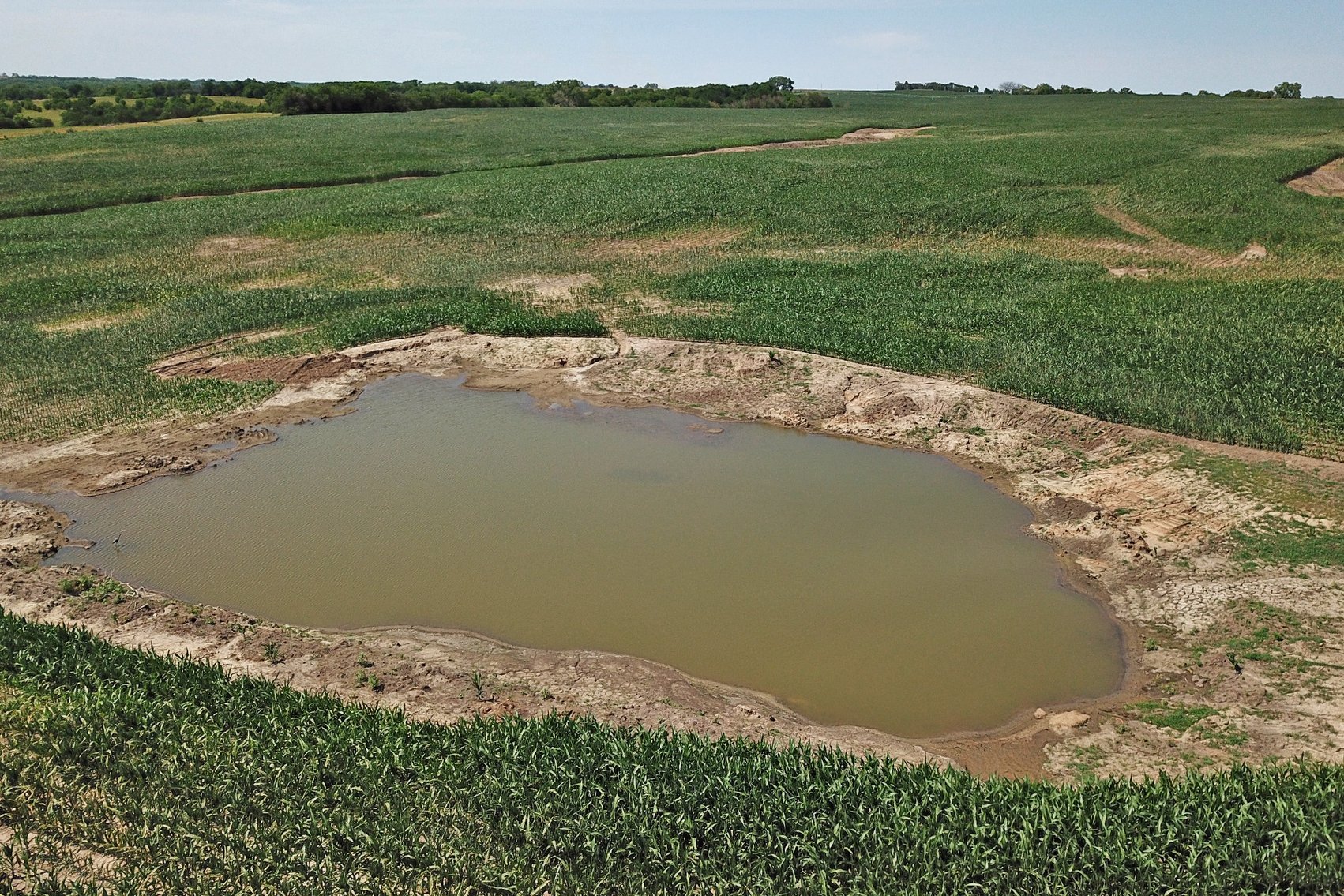 Image for 193.21Acres Pawnee County Farmland Auction by The Schaardt Auction Team with Burrows Tracts Real Estate