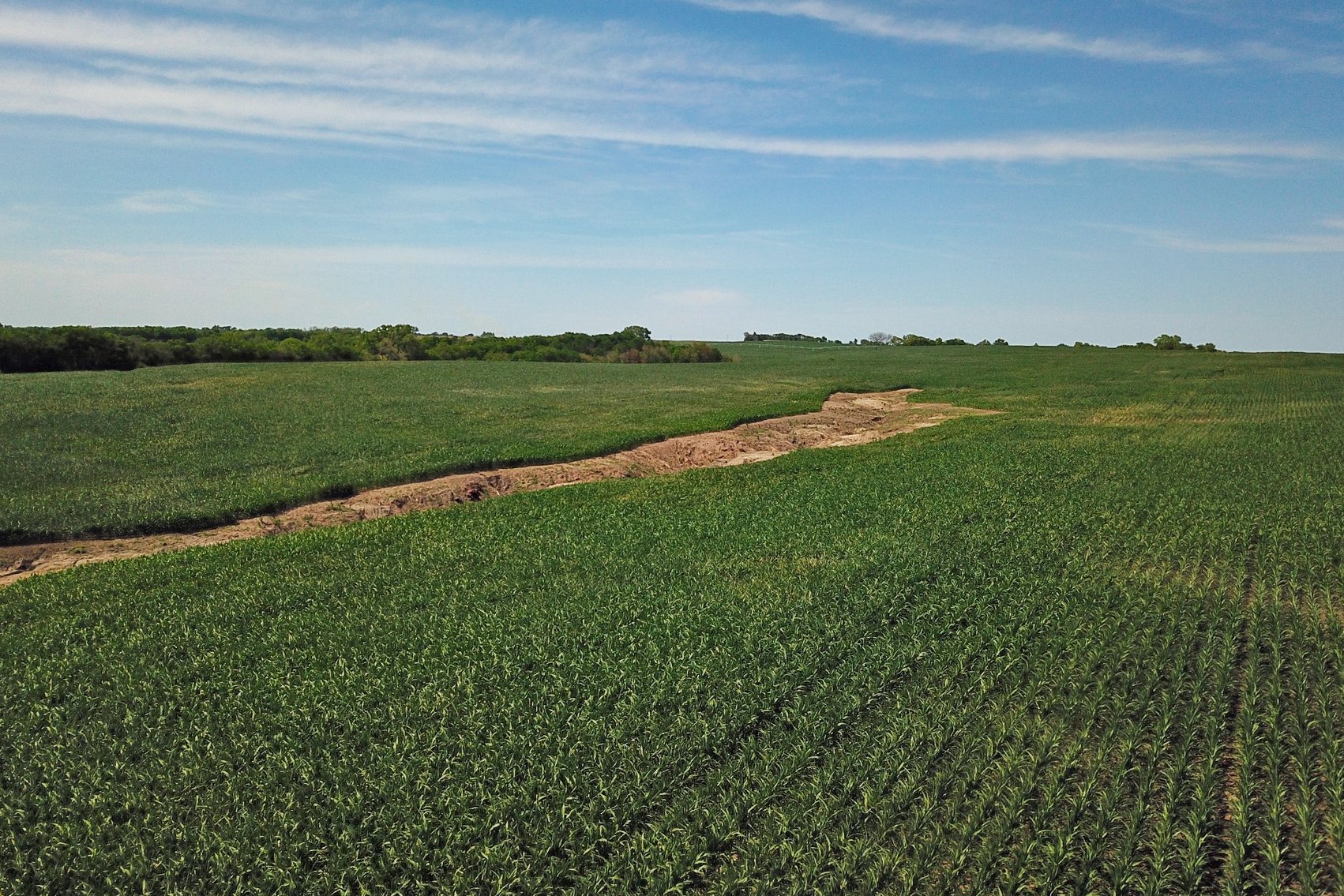 Image for 193.21Acres Pawnee County Farmland Auction by The Schaardt Auction Team with Burrows Tracts Real Estate