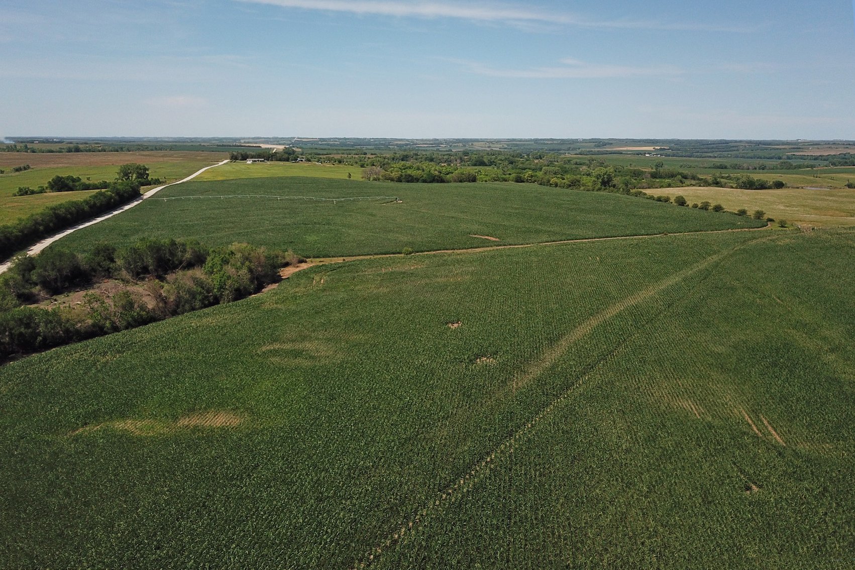 Image for 193.21Acres Pawnee County Farmland Auction by The Schaardt Auction Team with Burrows Tracts Real Estate