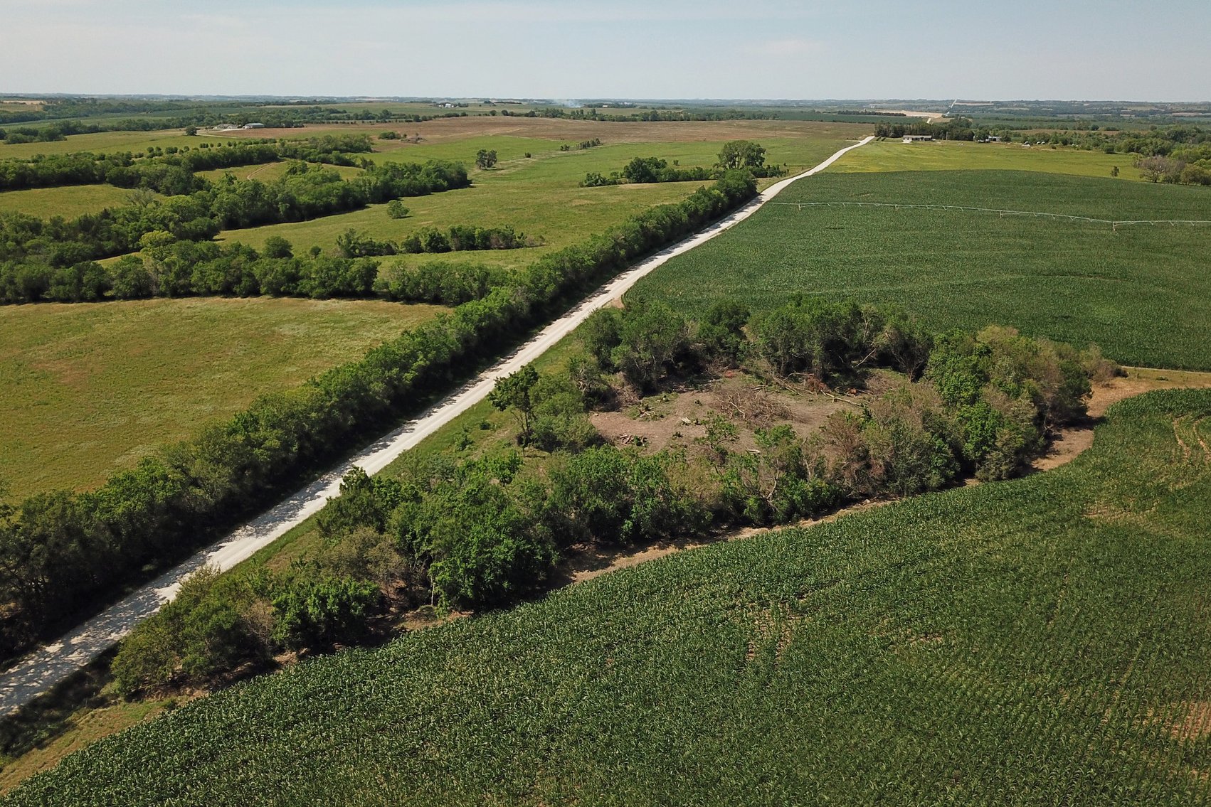 Image for 193.21Acres Pawnee County Farmland Auction by The Schaardt Auction Team with Burrows Tracts Real Estate