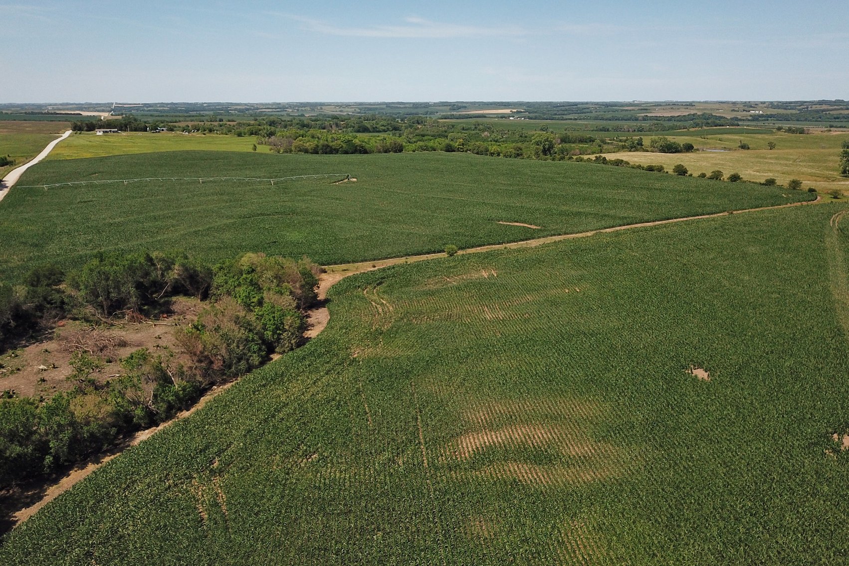 Image for 193.21Acres Pawnee County Farmland Auction by The Schaardt Auction Team with Burrows Tracts Real Estate