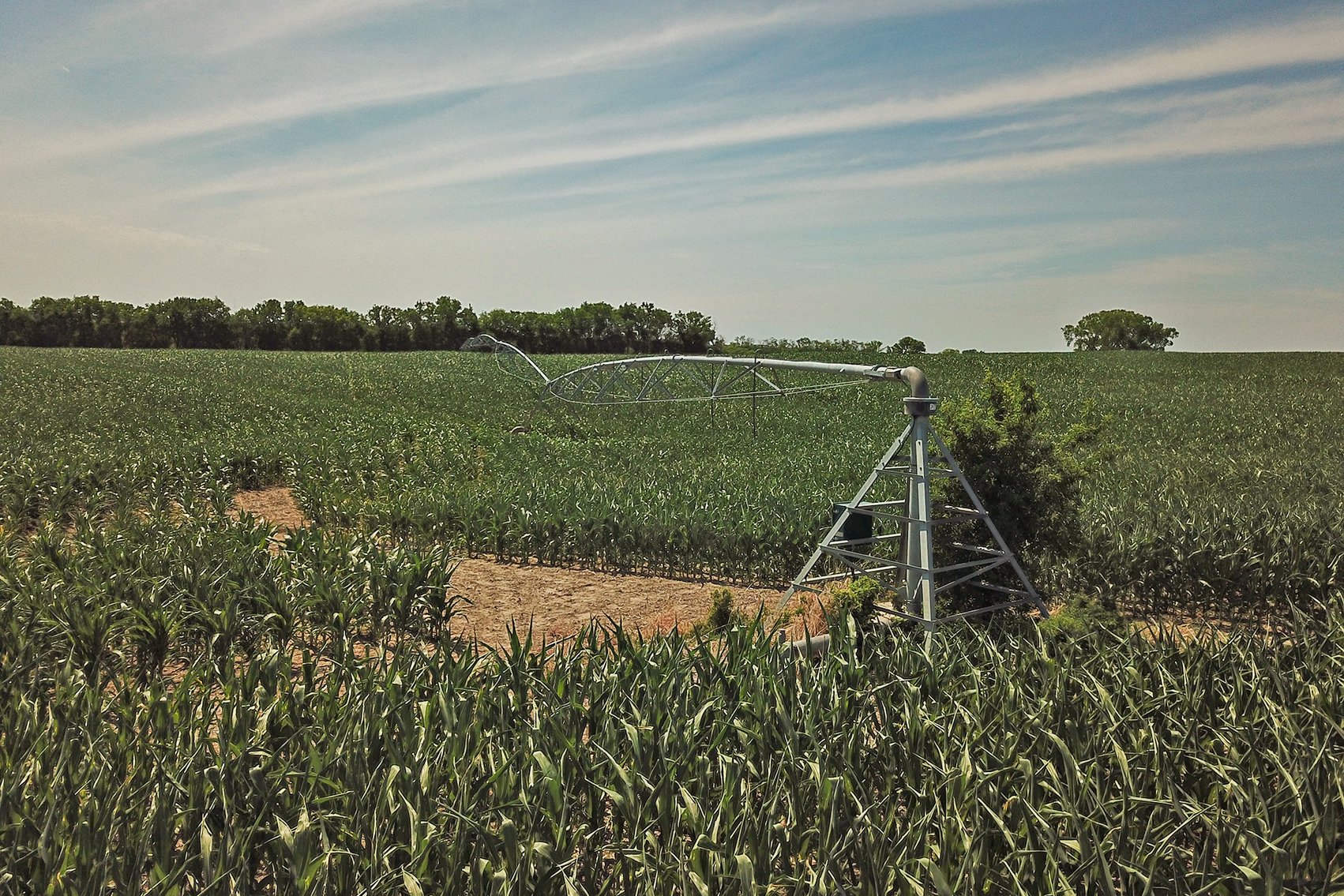 Image for 193.21Acres Pawnee County Farmland Auction by The Schaardt Auction Team with Burrows Tracts Real Estate