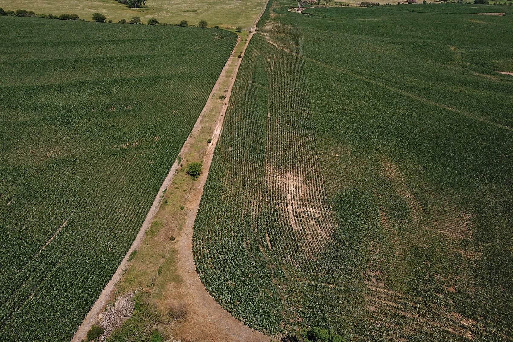 Image for 193.21Acres Pawnee County Farmland Auction by The Schaardt Auction Team with Burrows Tracts Real Estate