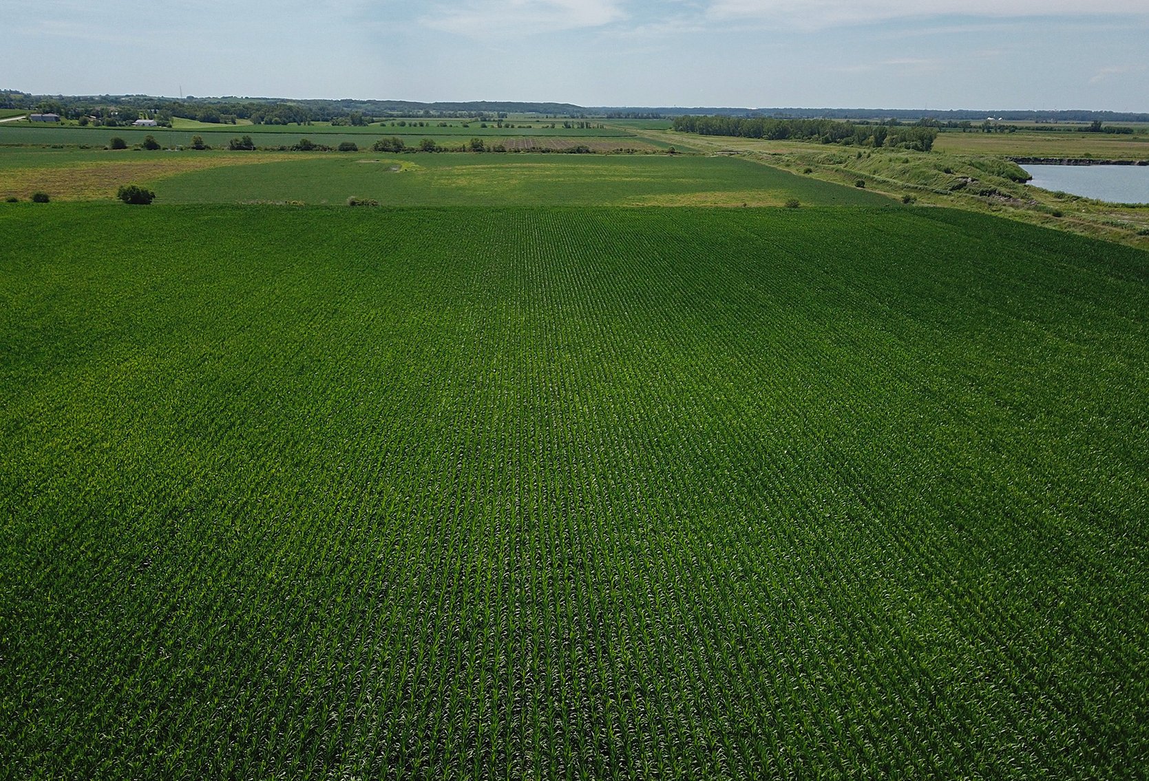 Image for Conrad & Theresa Wildhagen Estate Land Auction - Sarpy County, NE 78.83 Acres