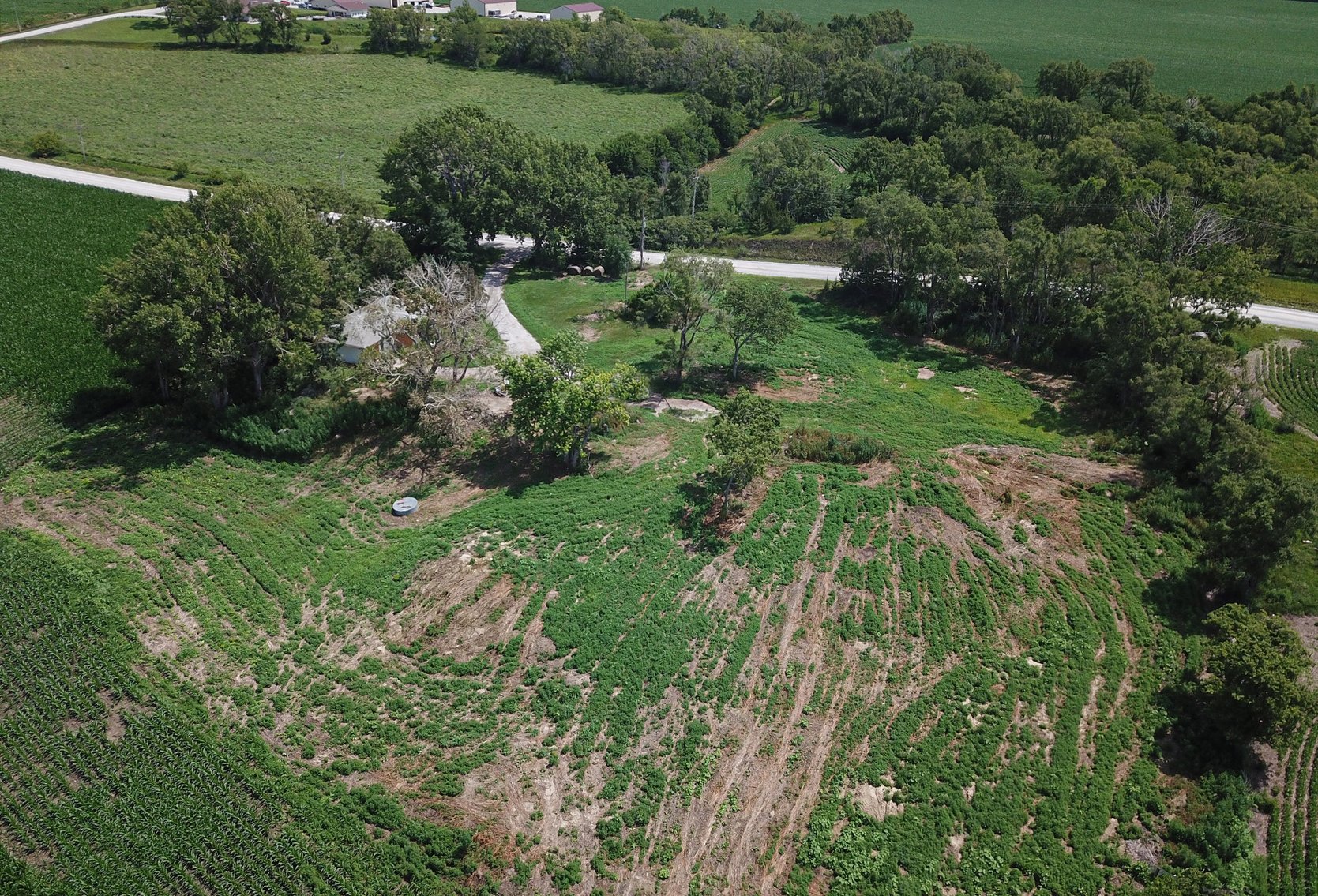 Image for Conrad & Theresa Wildhagen Estate Land Auction - Sarpy County, NE 78.83 Acres
