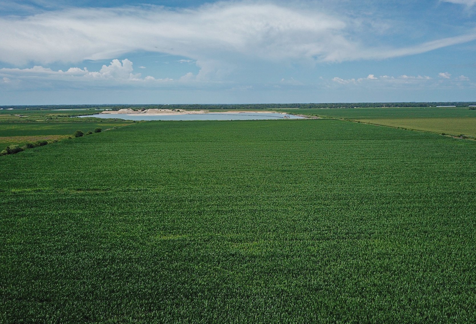 Image for Conrad & Theresa Wildhagen Estate Land Auction - Sarpy County, NE 78.83 Acres