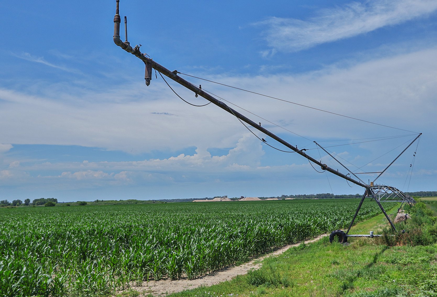 Image for Conrad & Theresa Wildhagen Estate Land Auction - Sarpy County, NE 78.83 Acres