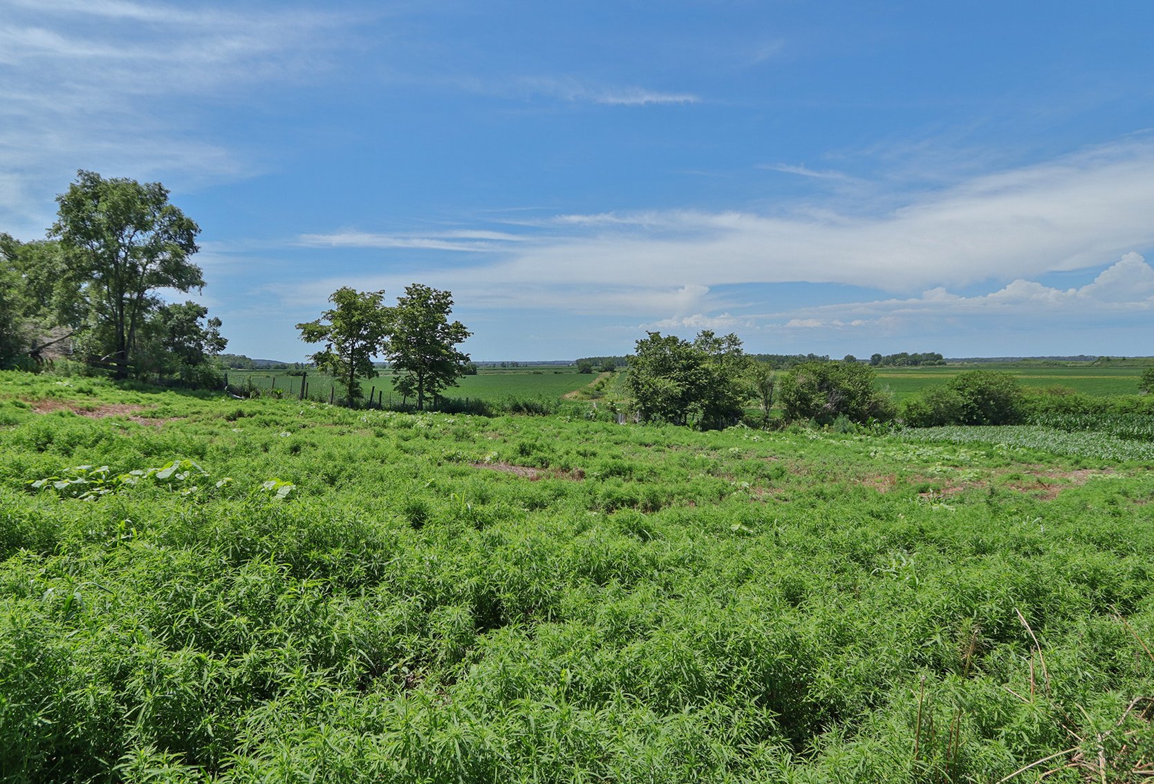Image for Conrad & Theresa Wildhagen Estate Land Auction - Sarpy County, NE 78.83 Acres