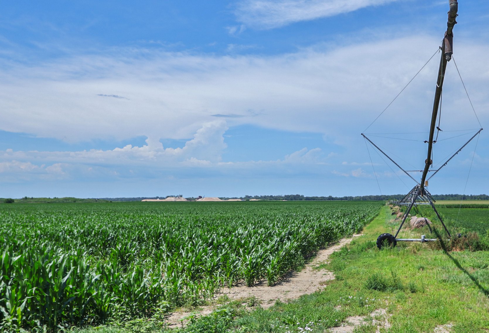 Image for Conrad & Theresa Wildhagen Estate Land Auction - Sarpy County, NE 78.83 Acres