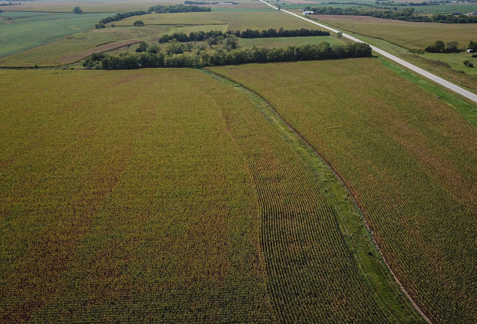 Image for Boden Land Auction - 73.8 Acres Johnson County, NE