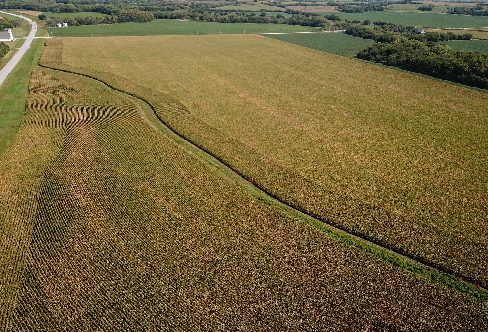Image for Boden Land Auction - 73.8 Acres Johnson County, NE