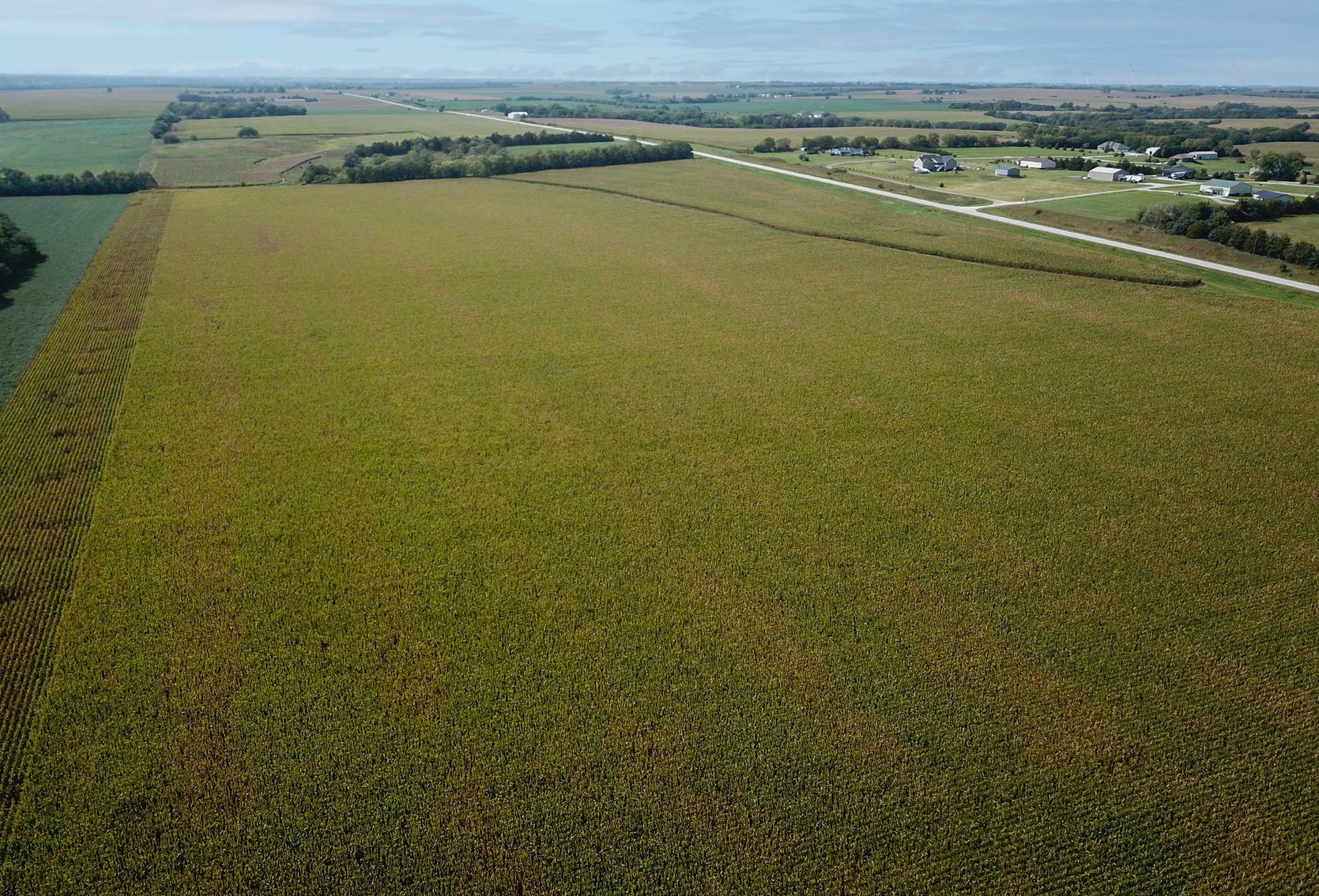 Image for Boden Land Auction - 73.8 Acres Johnson County, NE