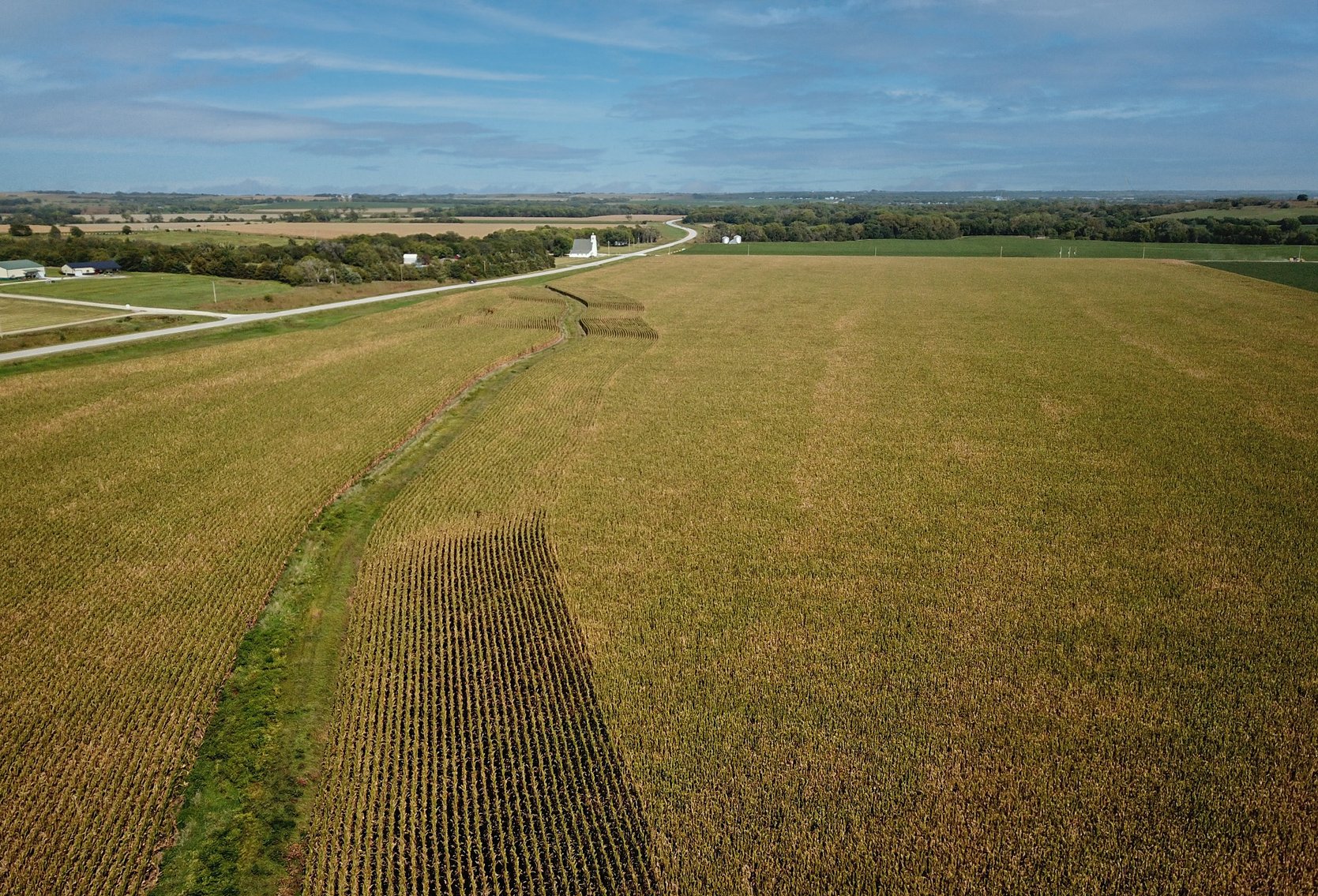 Image for Boden Land Auction - 73.8 Acres Johnson County, NE