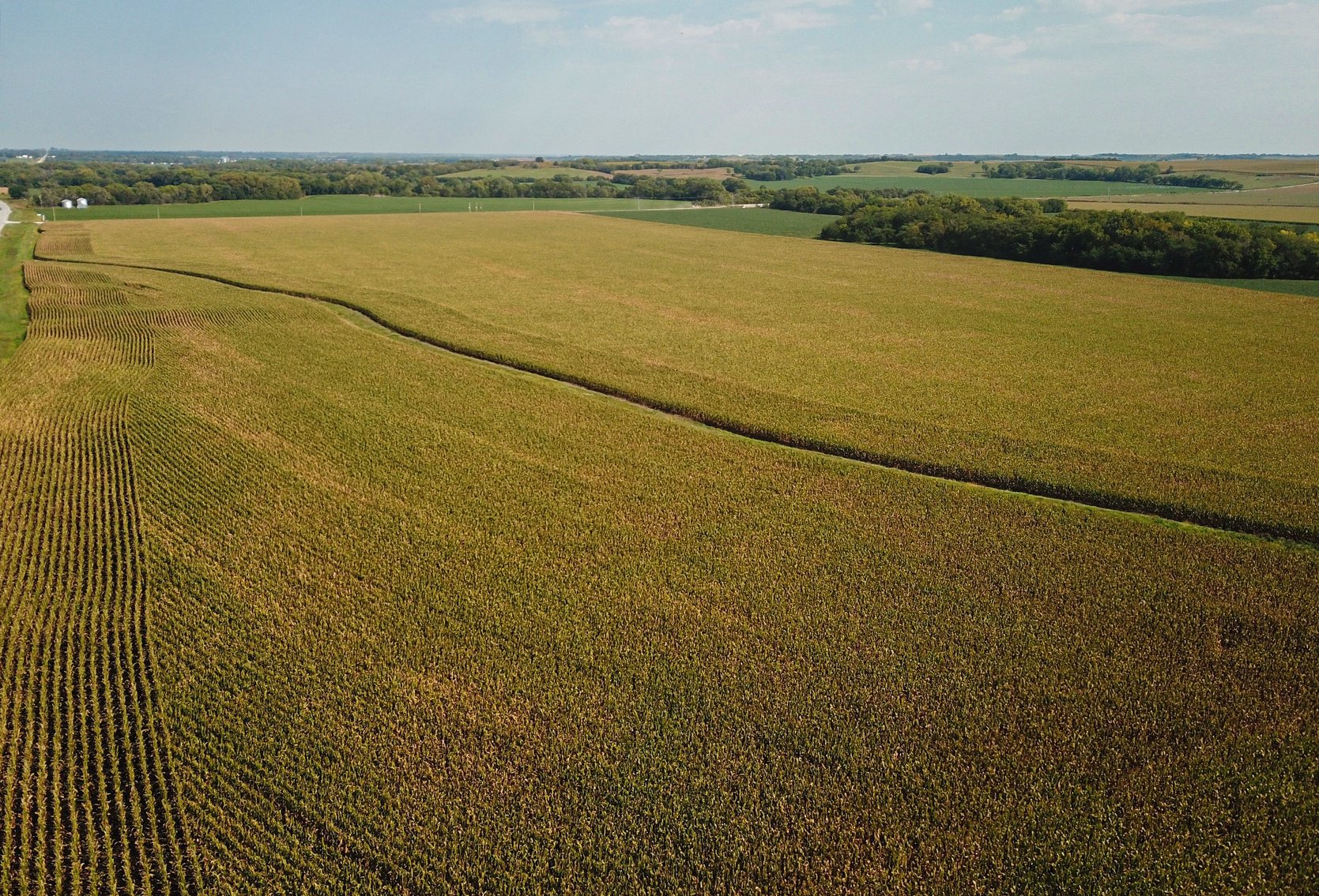 Image for Boden Land Auction - 73.8 Acres Johnson County, NE