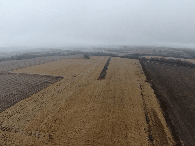 Image for Pawnee County Farmland Absolute Auction