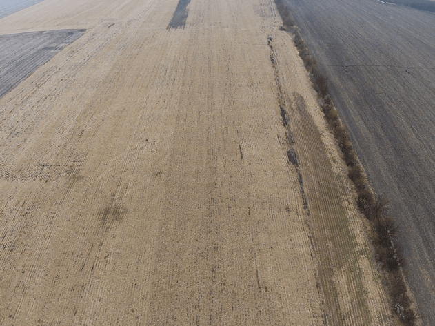 Image for Pawnee County Farmland Absolute Auction