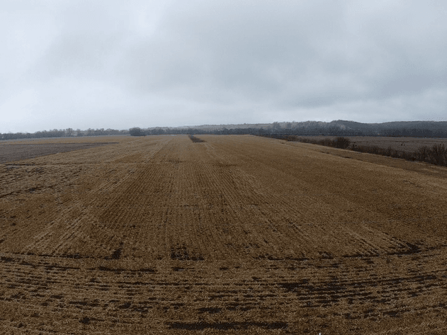 Image for Pawnee County Farmland Absolute Auction