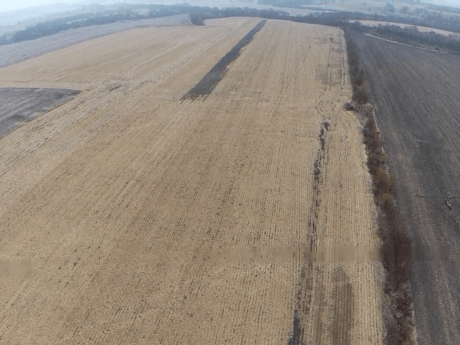 Image for Pawnee County Farmland Absolute Auction