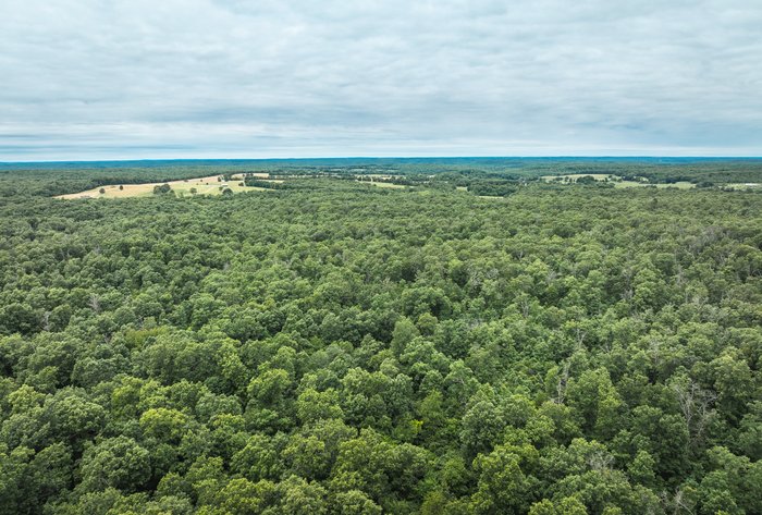 Image for Phelps County Land & Timber