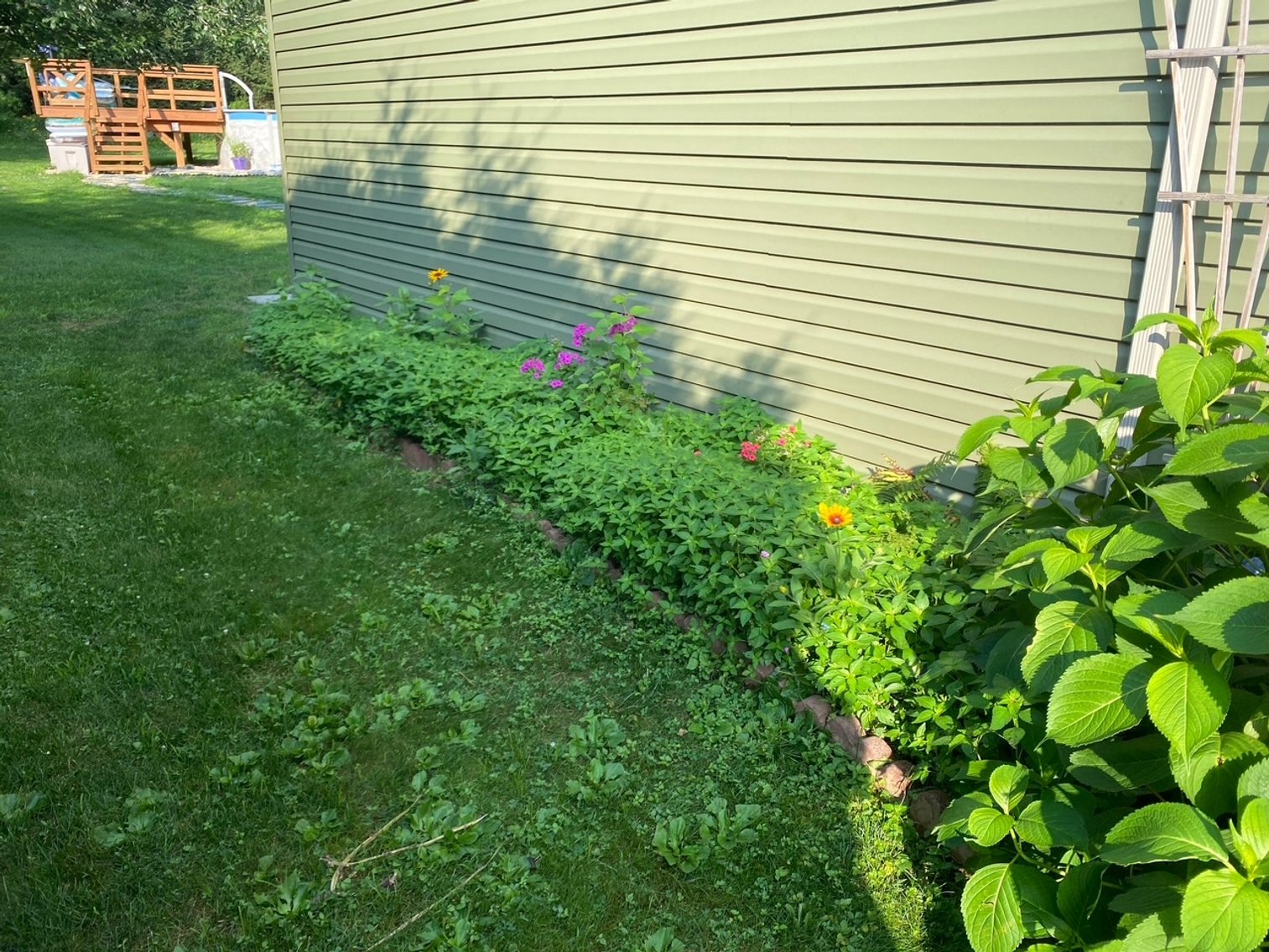 Image for 14 North Butterfly Drive - Myerstown, PA