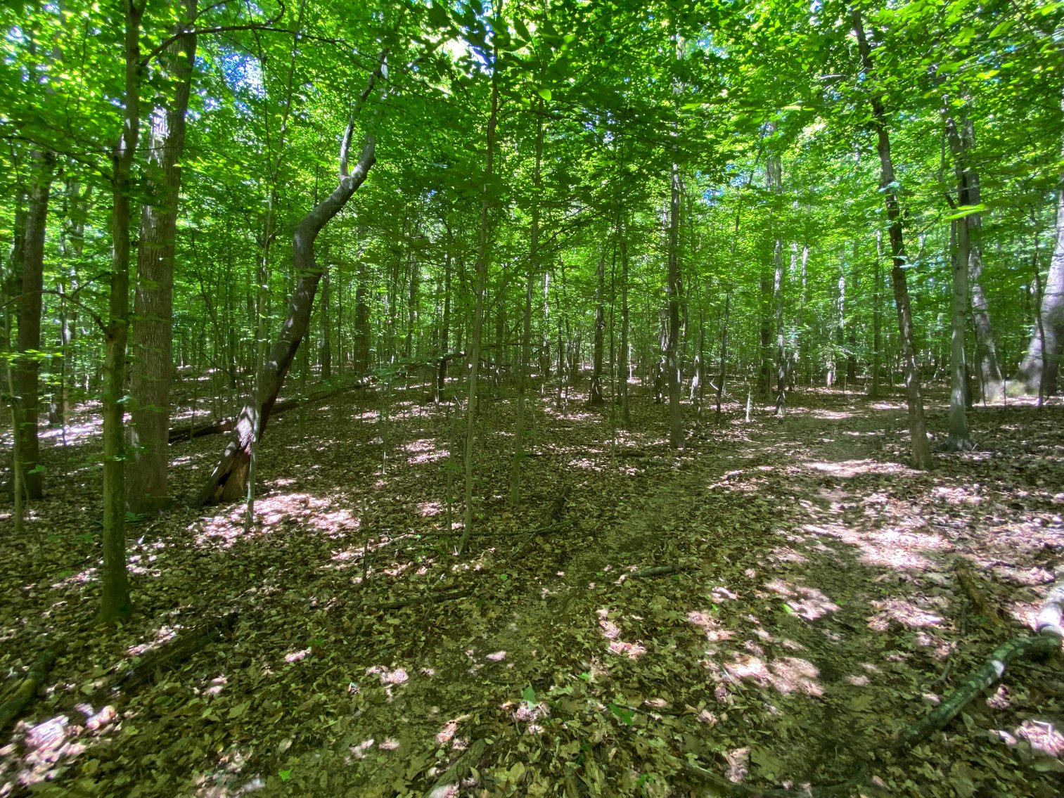 Image for 3400 Old Gun Road West, Midlothian VA