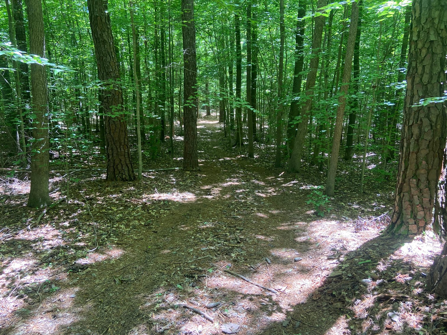 Image for 3400 Old Gun Road West, Midlothian VA