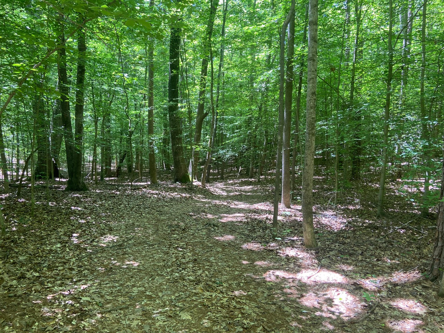 Image for 3400 Old Gun Road West, Midlothian VA