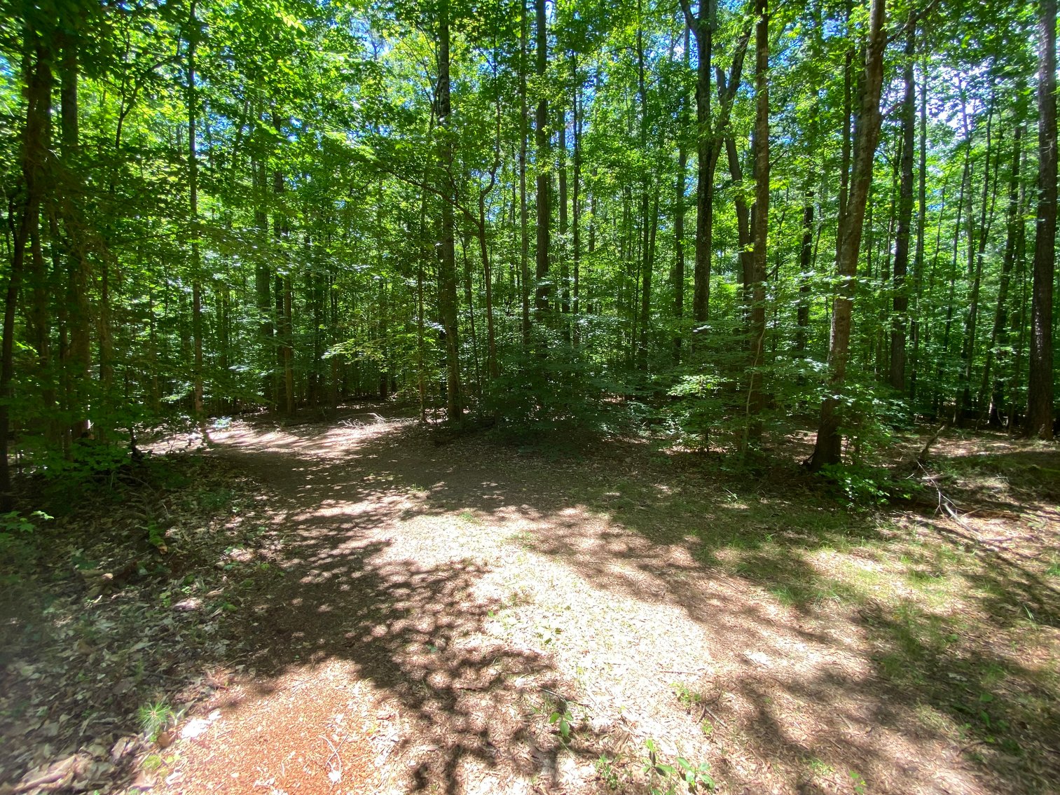 Image for 3400 Old Gun Road West, Midlothian VA