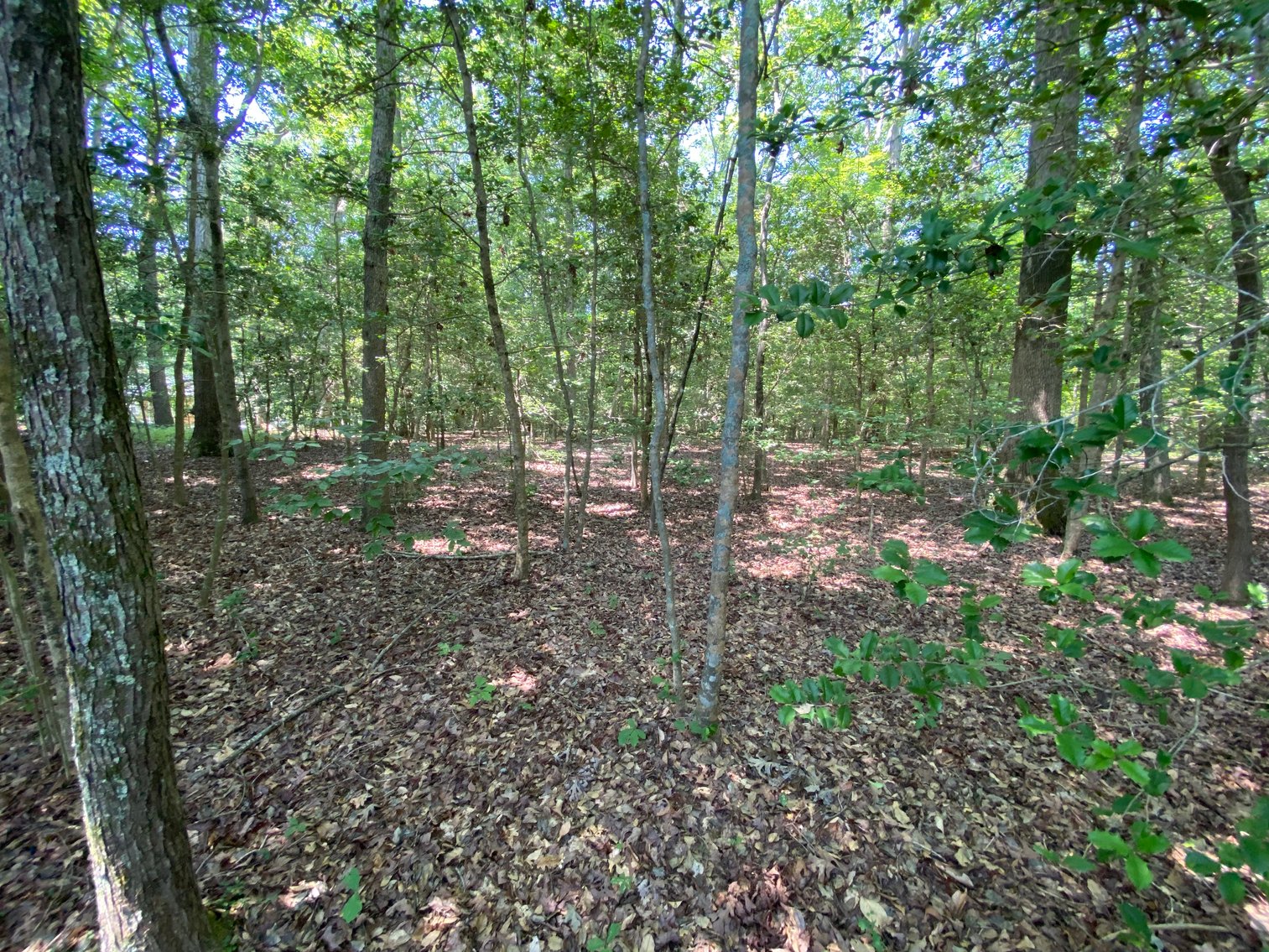 Image for 8000 North Courthouse Road, New Kent VA