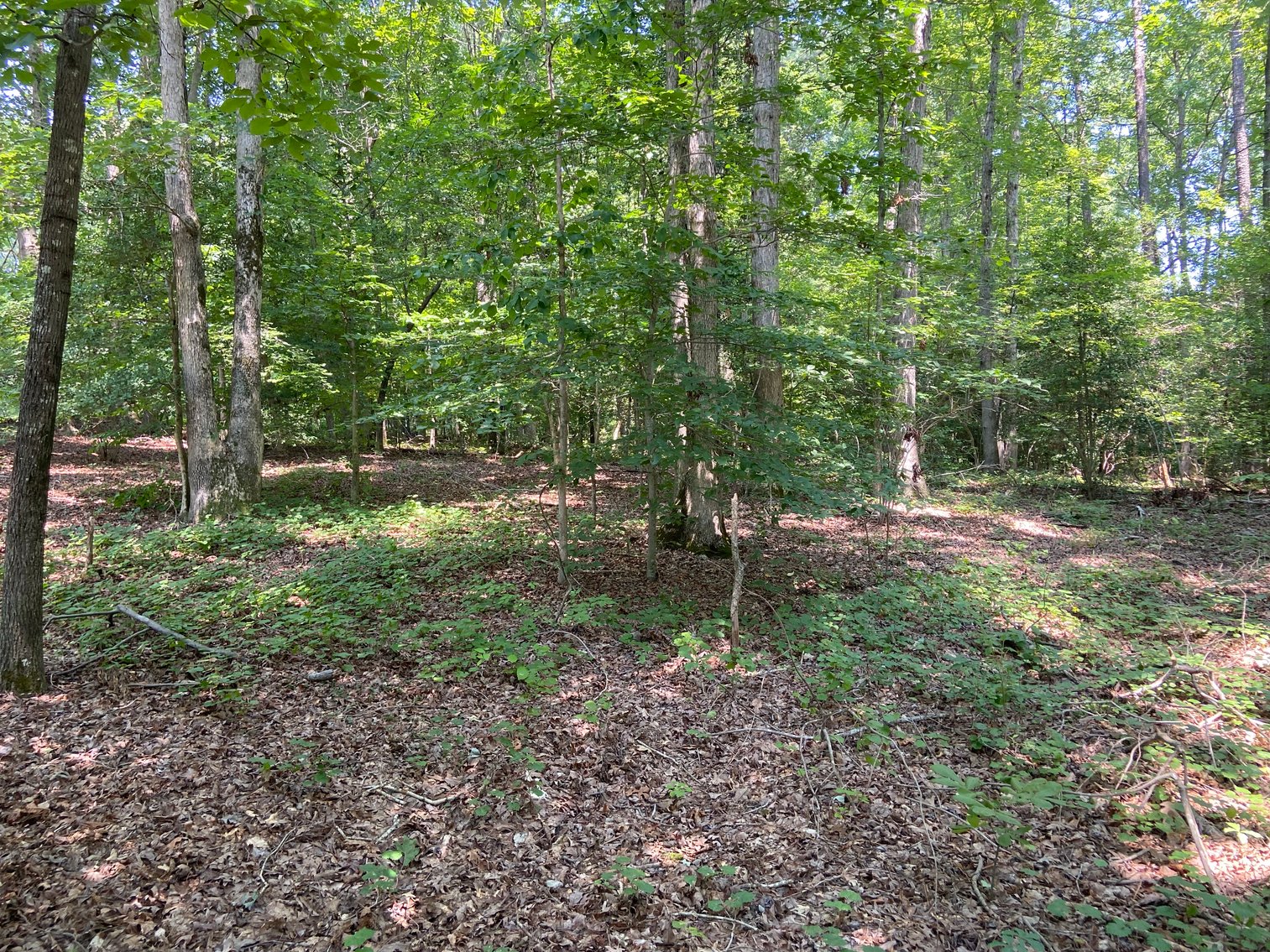 Image for 8000 North Courthouse Road, New Kent VA