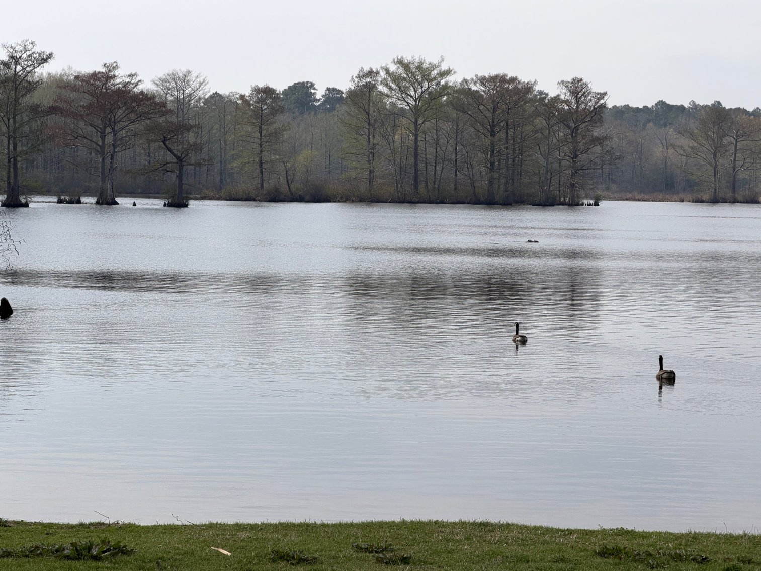 Image for Eagles Landing Marina Real Estate and Business Assets - New Kent County Virginia