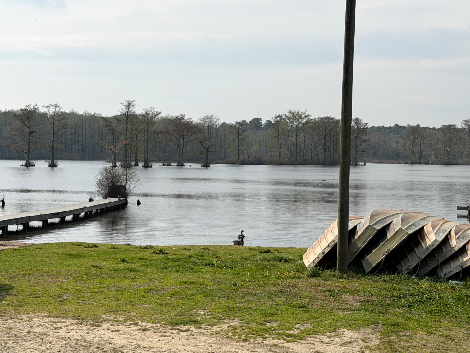 Image for Eagles Landing Marina Real Estate and Business Assets - New Kent County Virginia