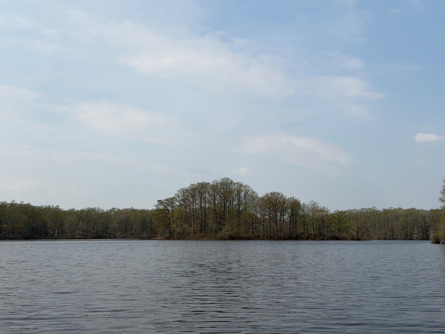 Image for Eagles Landing Marina Real Estate and Business Assets - New Kent County Virginia