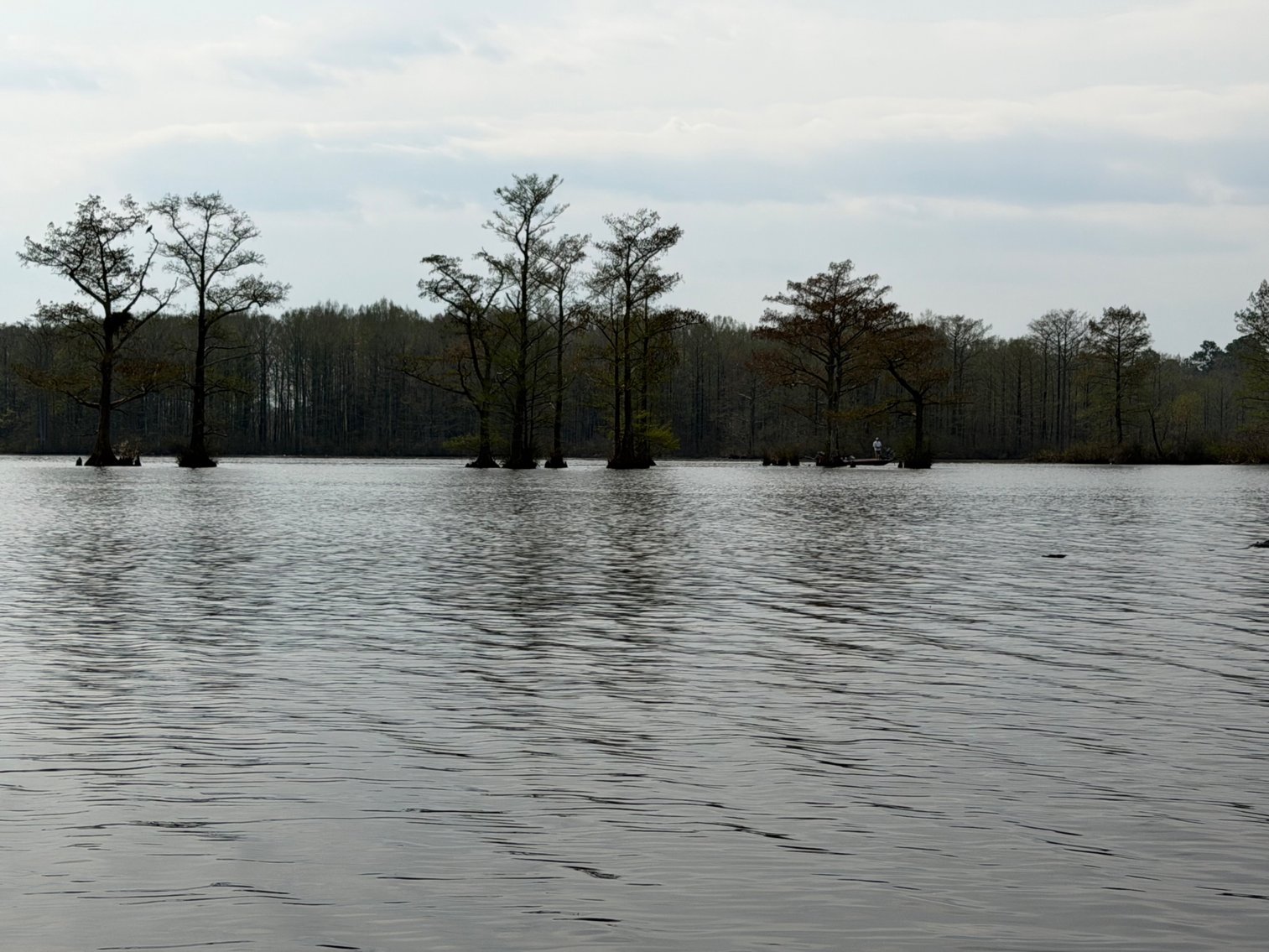 Image for Eagles Landing Marina Real Estate and Business Assets - New Kent County Virginia