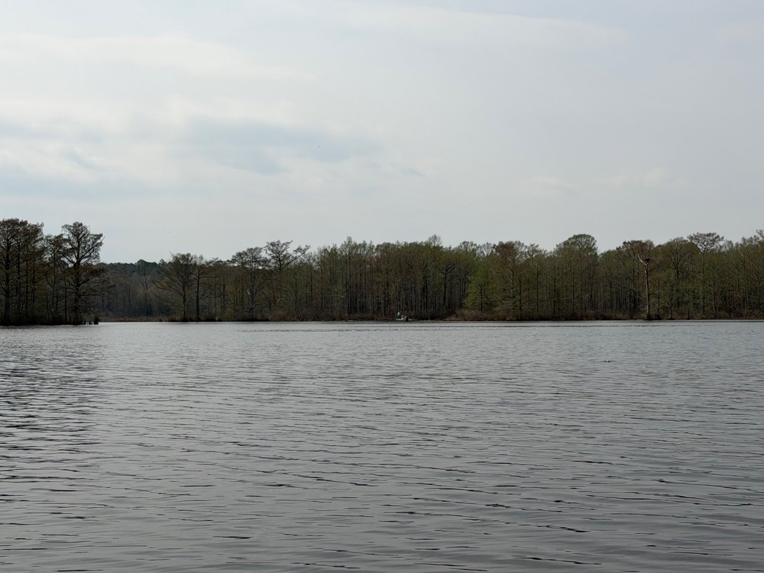 Image for Eagles Landing Marina Real Estate and Business Assets - New Kent County Virginia