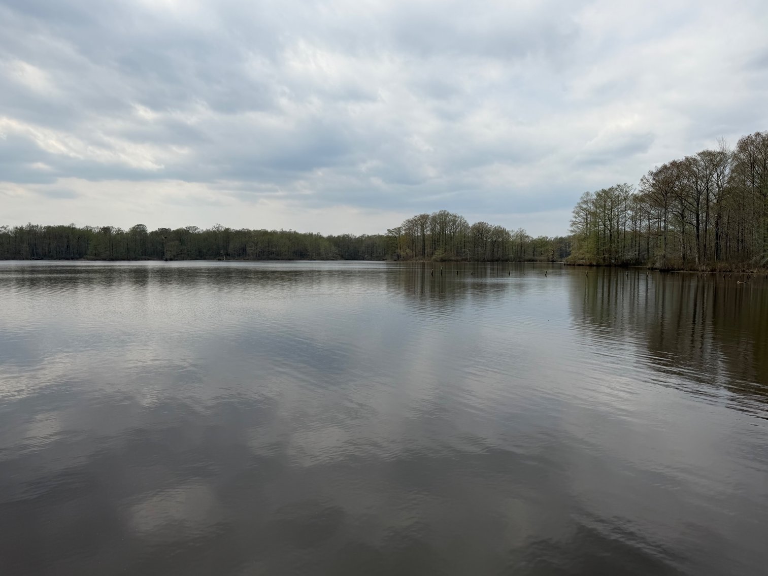 Image for Eagles Landing Marina Real Estate and Business Assets - New Kent County Virginia