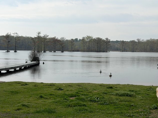 Image for Eagles Landing Marina Real Estate and Business Assets - New Kent County Virginia