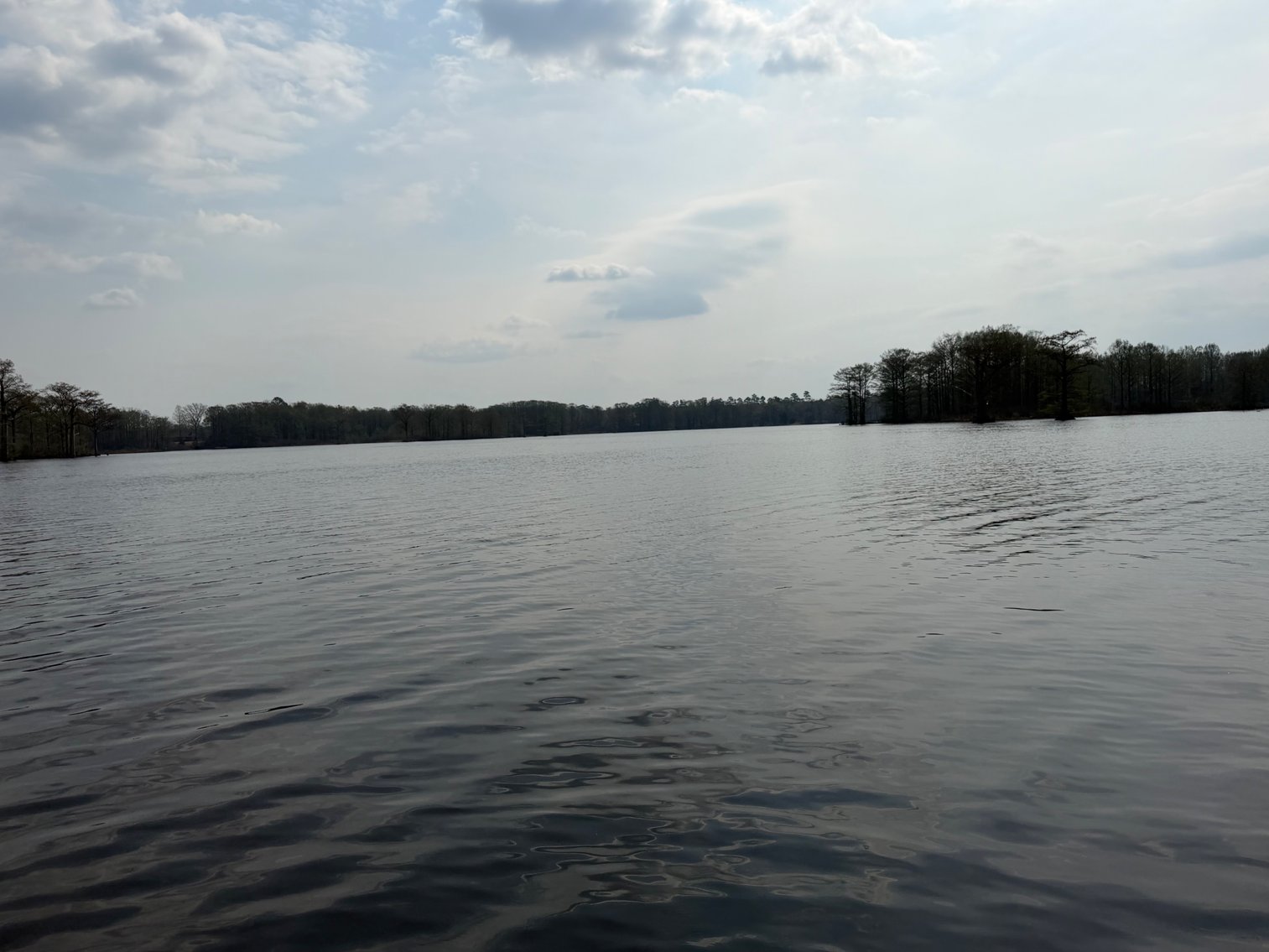 Image for Eagles Landing Marina Real Estate and Business Assets - New Kent County Virginia