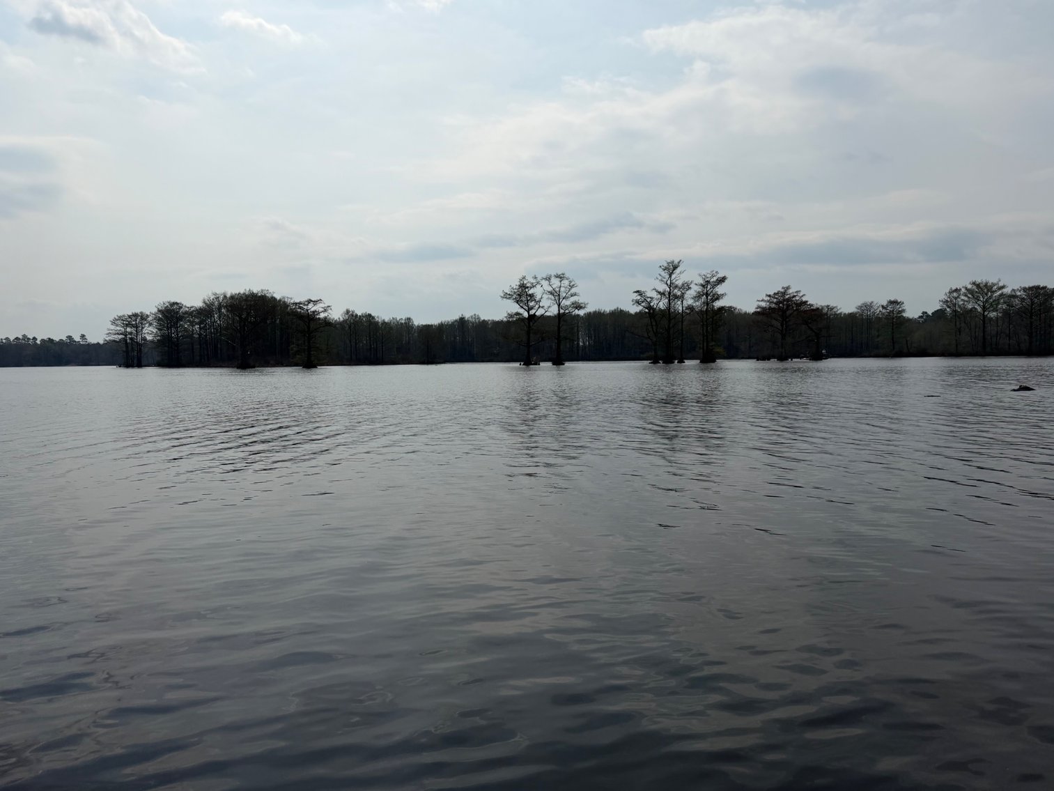 Image for Eagles Landing Marina Real Estate and Business Assets - New Kent County Virginia