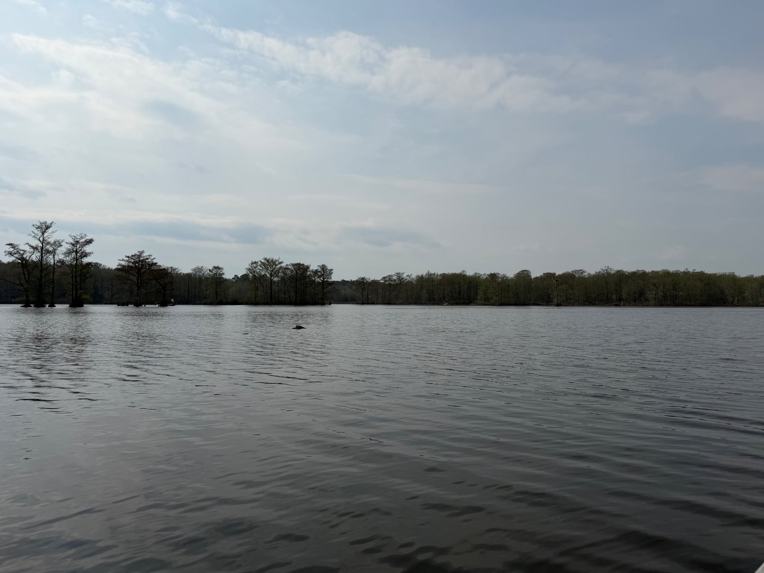 Image for Eagles Landing Marina Real Estate and Business Assets - New Kent County Virginia