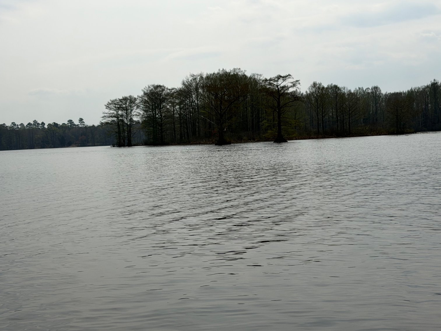 Image for Eagles Landing Marina Real Estate and Business Assets - New Kent County Virginia