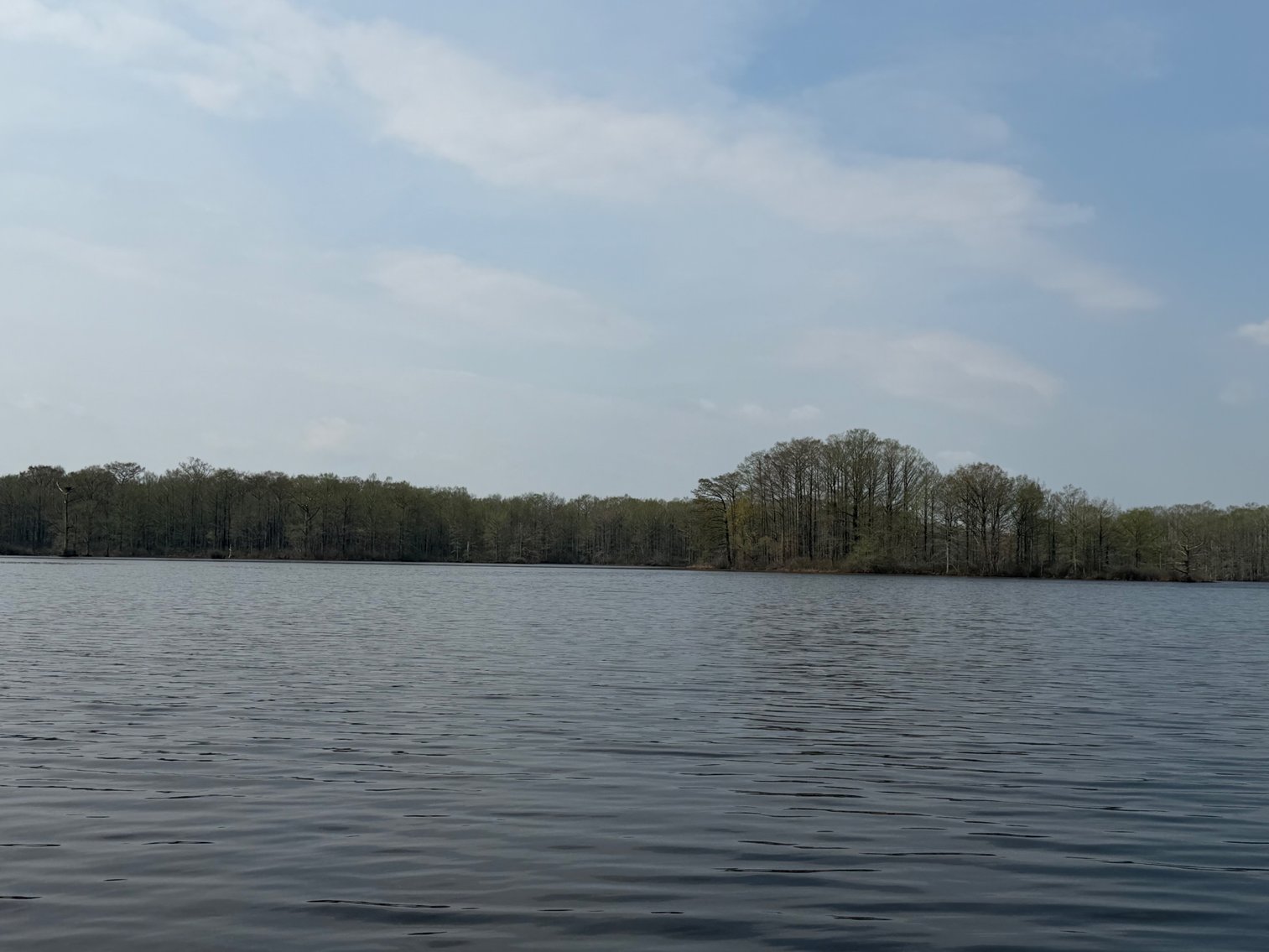 Image for Eagles Landing Marina Real Estate and Business Assets - New Kent County Virginia