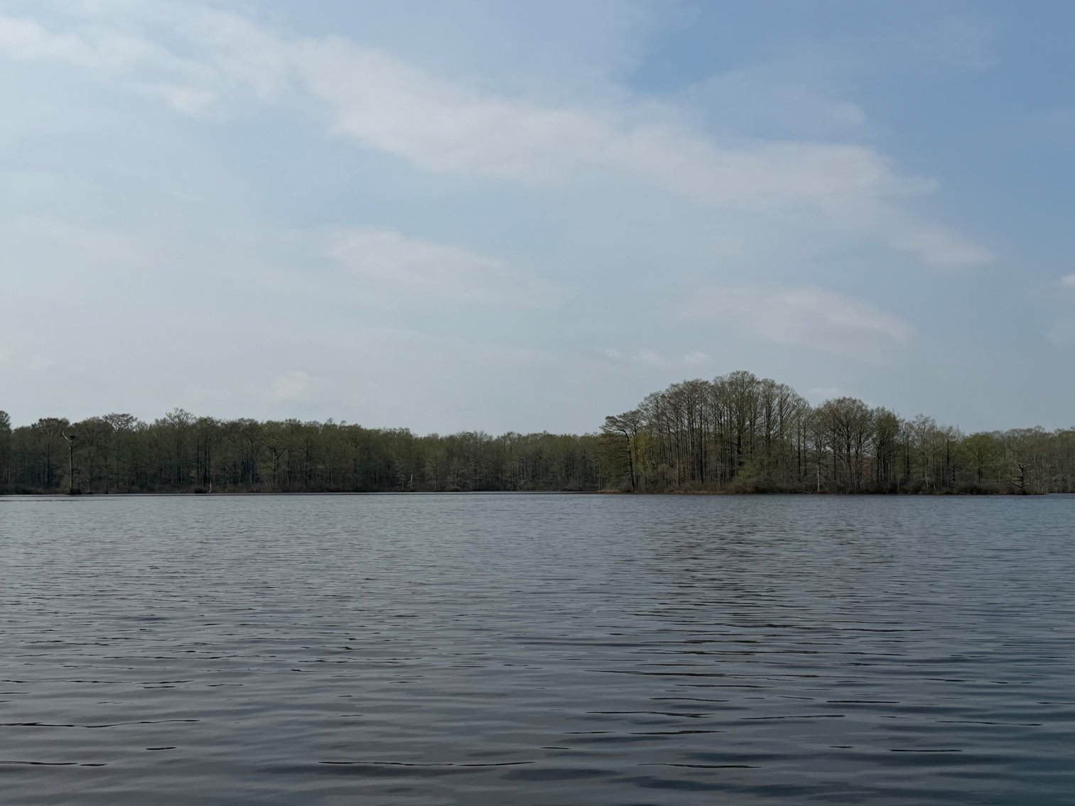 Image for Eagles Landing Marina Real Estate and Business Assets - New Kent County Virginia