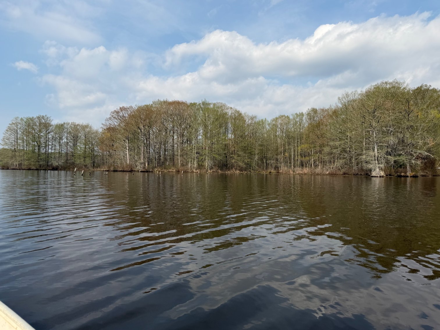 Image for Eagles Landing Marina Real Estate and Business Assets - New Kent County Virginia