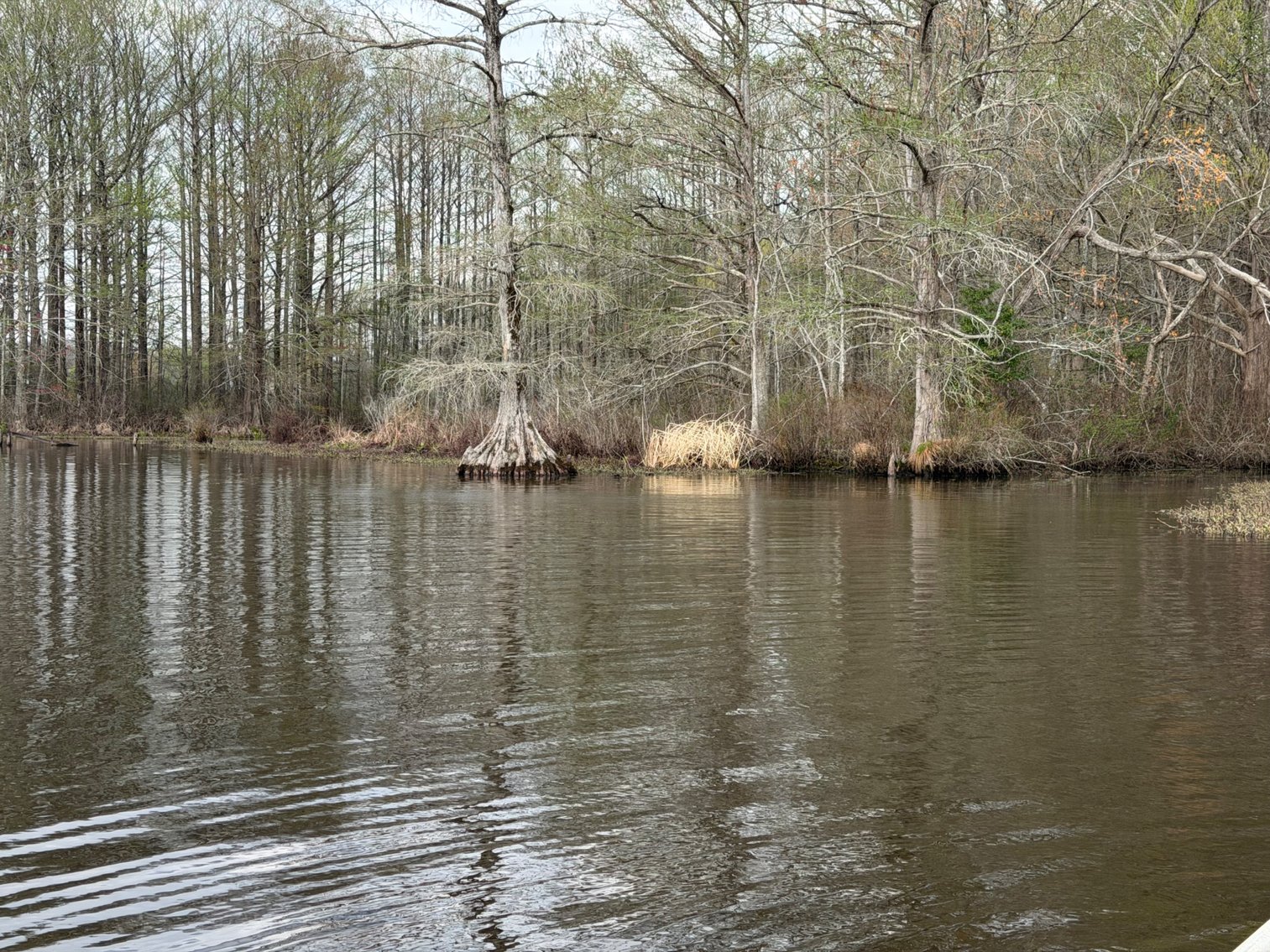 Image for Eagles Landing Marina Real Estate and Business Assets - New Kent County Virginia