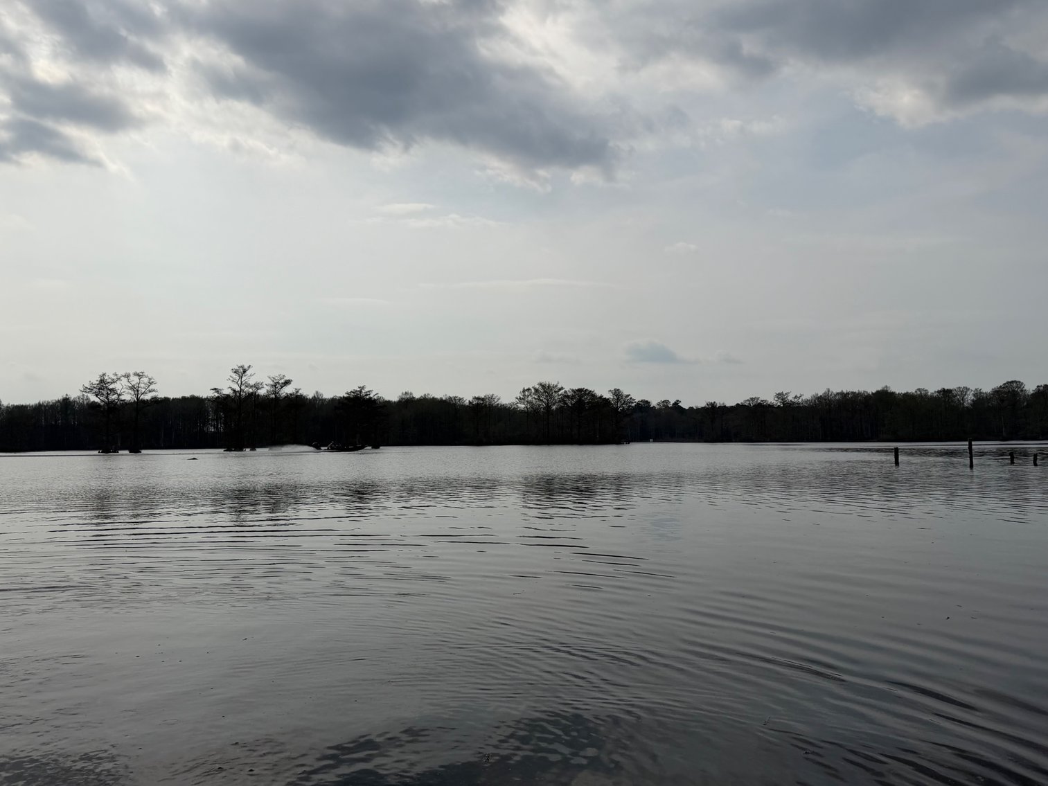 Image for Eagles Landing Marina Real Estate and Business Assets - New Kent County Virginia