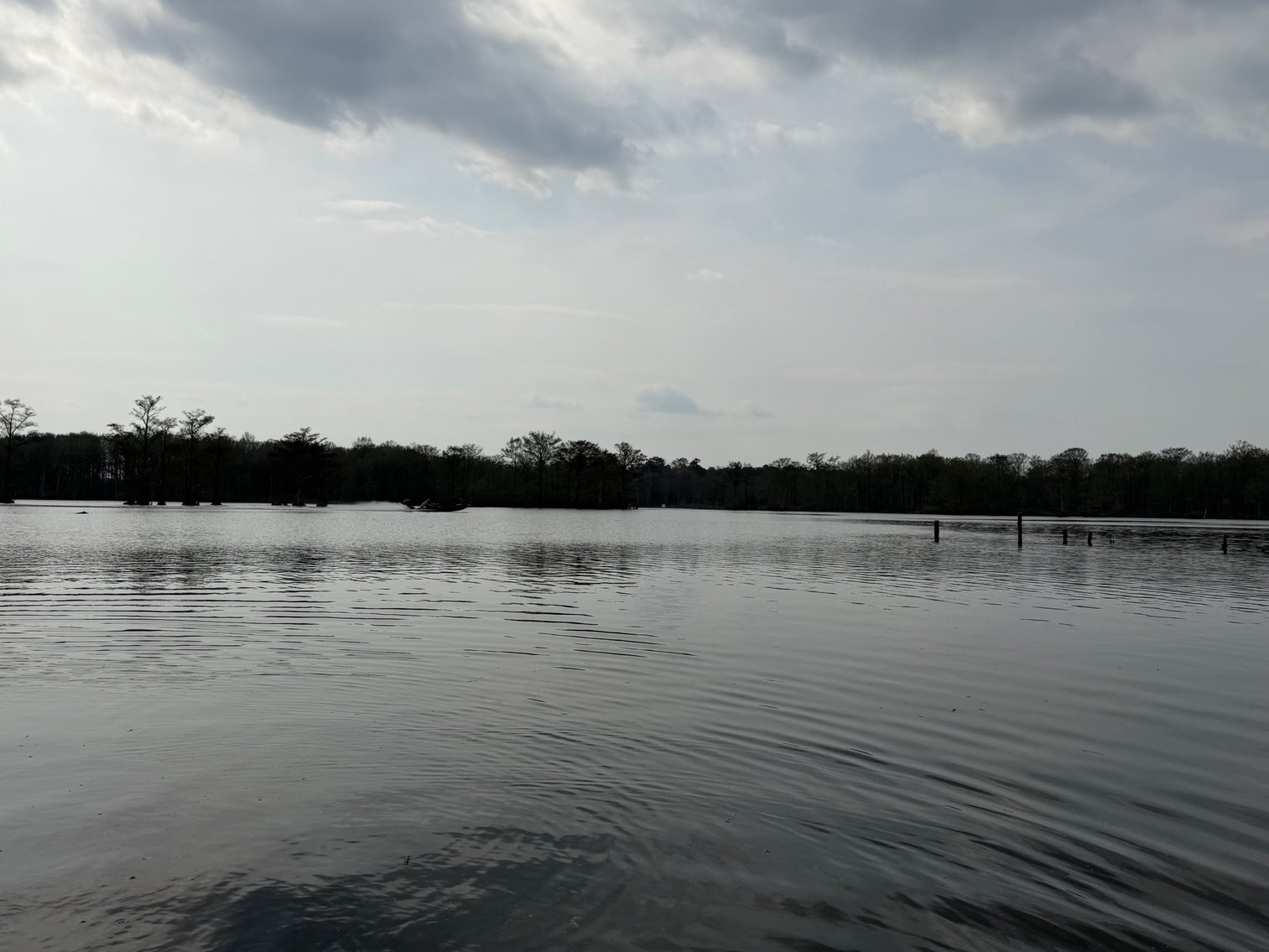 Image for Eagles Landing Marina Real Estate and Business Assets - New Kent County Virginia