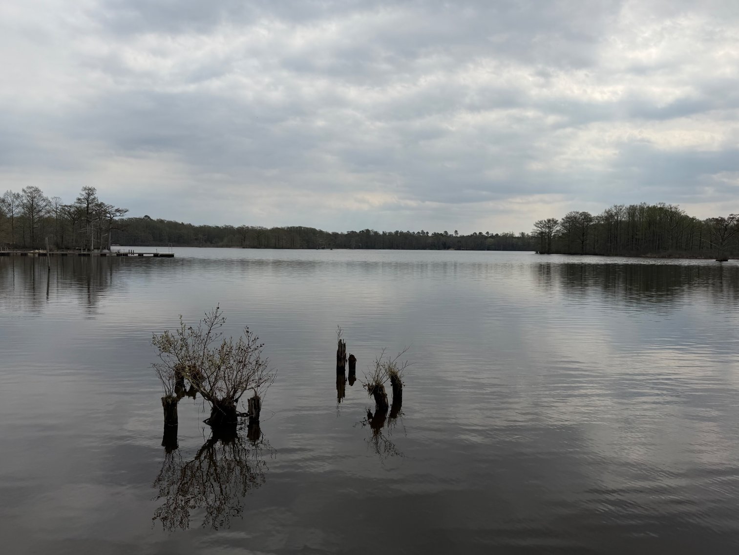 Image for Eagles Landing Marina Real Estate and Business Assets - New Kent County Virginia