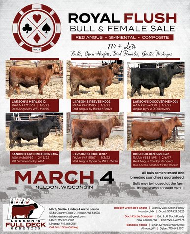 ROYAL FLUSH BULL & FEMALE SALE - LARSON'S FULL DECK GENETICS - Nelson, WI